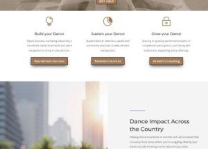 Dance Business Consulting